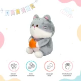 cat soft toy benefits