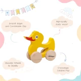 DUCK Wooden Toy uses