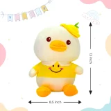 Duck Soft Toy Measurement