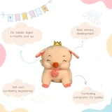 pig soft toy Benefits