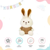 Rabbit Soft Toy Benefits