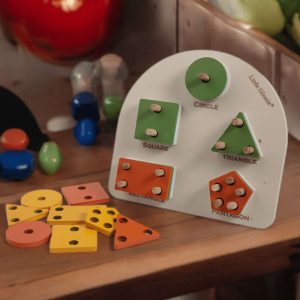 Shape Sorter Toys