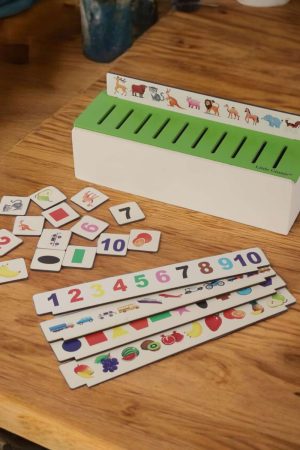 Sorting Toy