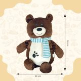 Teddy Bear for Kids