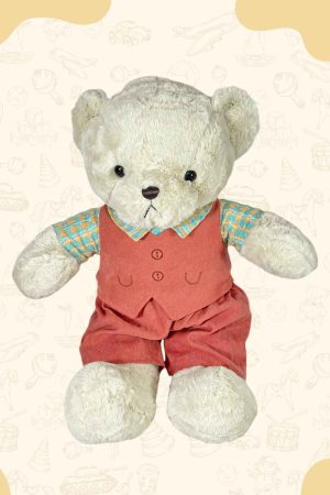 Teddy Bear for Kids