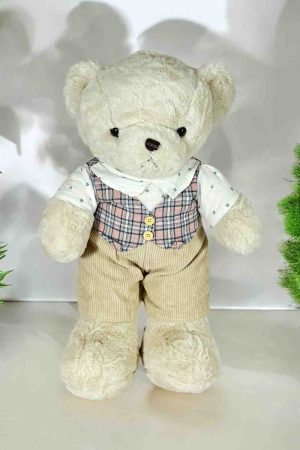 Teddy Bear for Kids