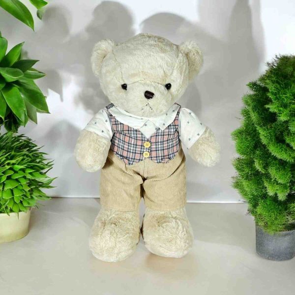 Teddy Bear for Kids