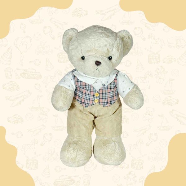 Teddy Bear for Kids