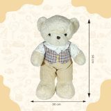 Teddy Bear for Kids