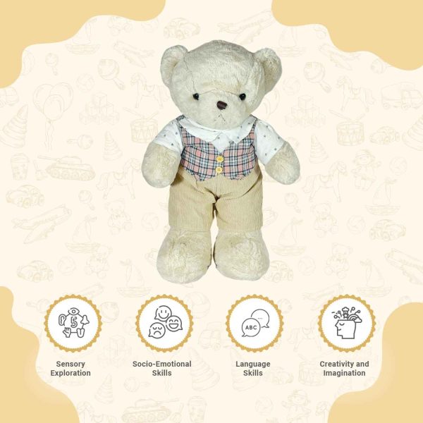 Teddy Bear for Kids