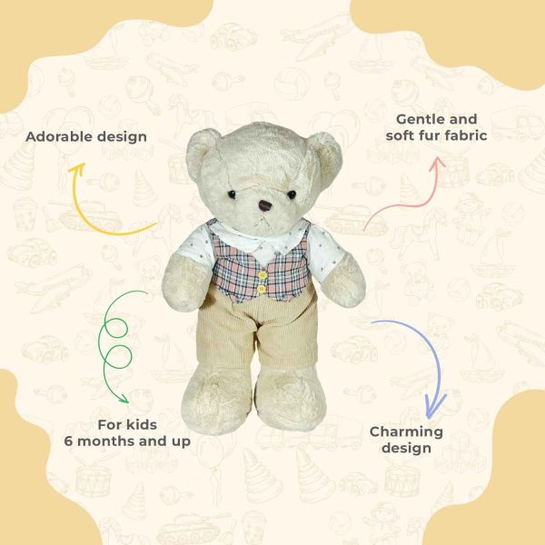 Teddy Bear for Kids