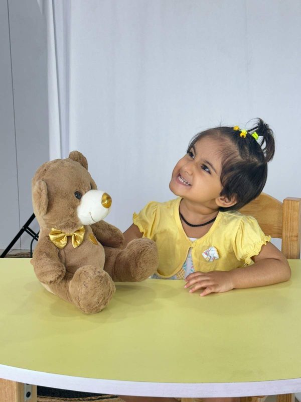 Brown Teddy Bear For Kids