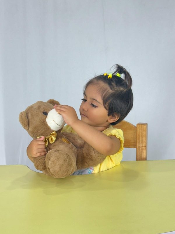 Brown Teddy Bear For Kids