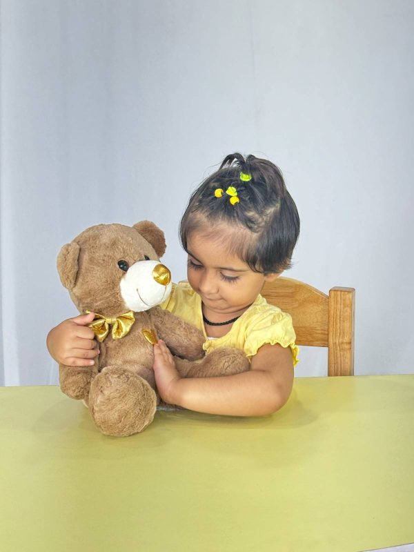 Brown Teddy Bear For Kids