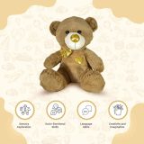 Brown Teddy Bear For Kids