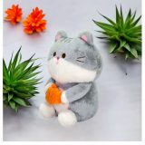 Cat Soft Toy