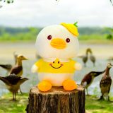 Duck Soft Toy