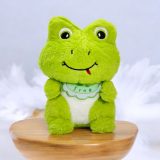 Frog Soft Toy