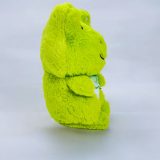 Frog Soft Toy