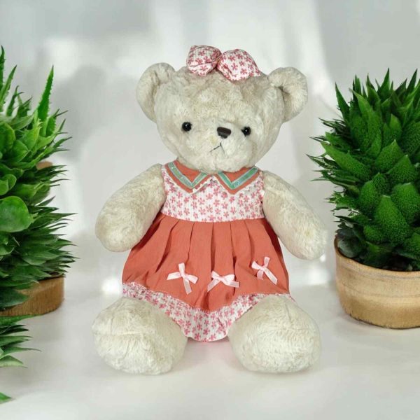 Teddy Bear for Kids