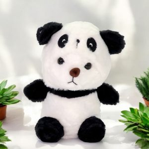 Bear Soft Toys