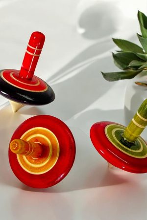 Spin Top