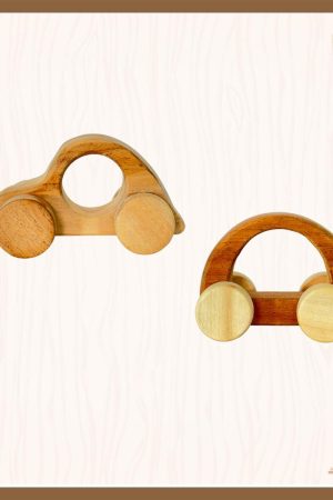 Wooden Nano & Motor Car Toys - Combo of 2