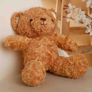 Bear Soft Toy