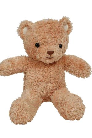 Bear Soft Toy
