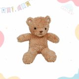 Bear Soft Toy