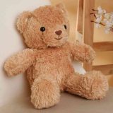 Bear Soft Toy