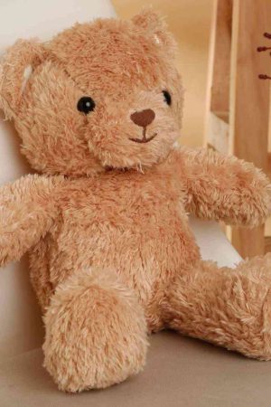 Bear Soft Toy