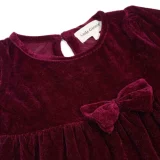 Purple Velvet Frock