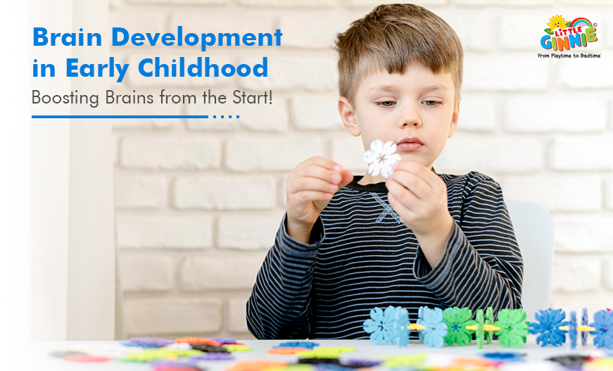 Brain Development In Early Childhood​