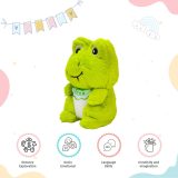 Frog Soft Toy