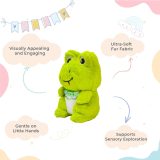 Frog Soft Toy