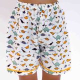 Dinosaur Print Co ord Set