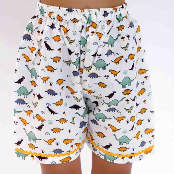 Dinosaur Print Co ord Set