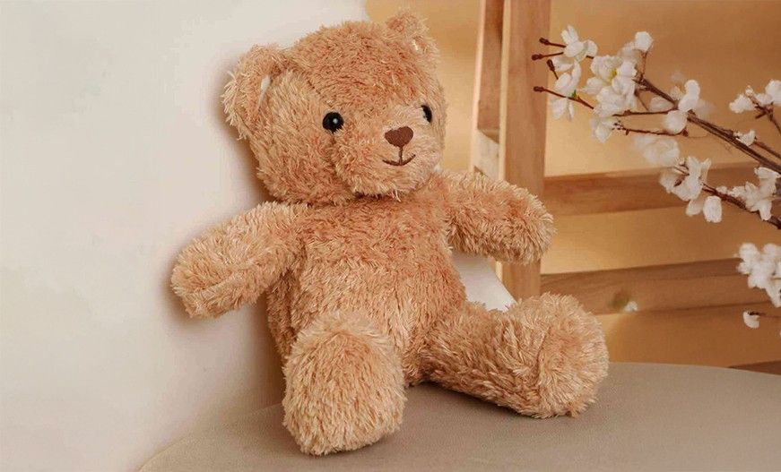 Teddy Bear Plush Toys