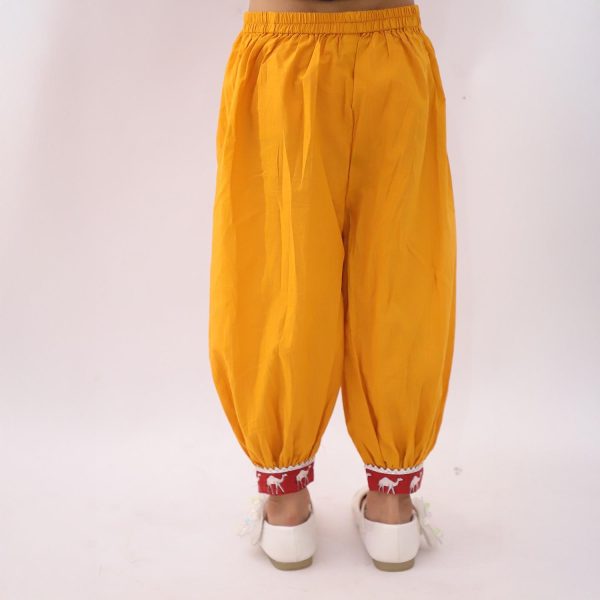 Maroon Camel Co Ord Set