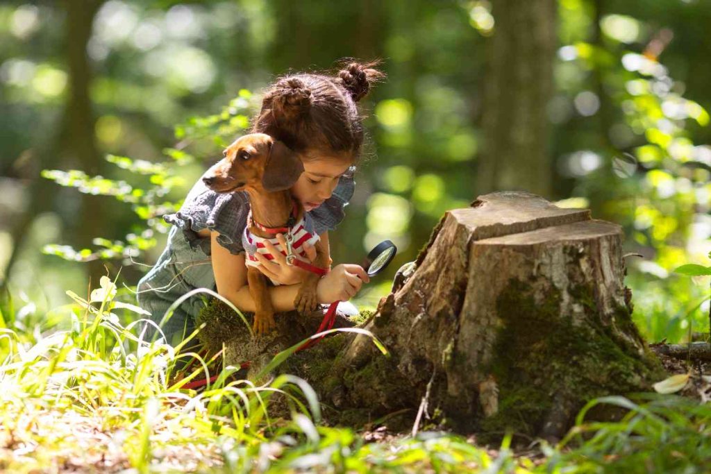 Outdoor Summer Activities For Kids