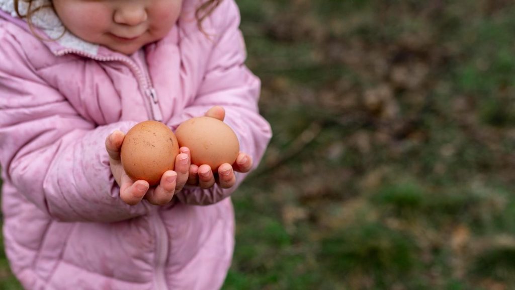 Benefits of Eggs for Babies