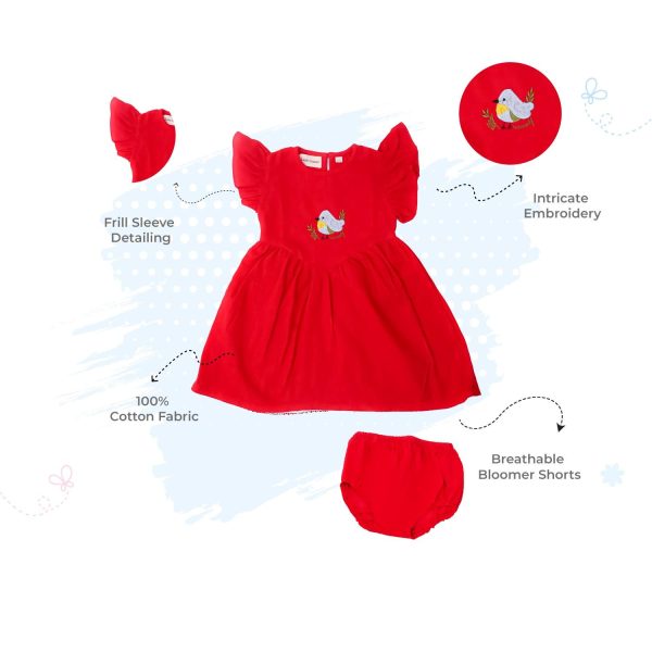 Red Bird Embroidery Frock with Bloomer